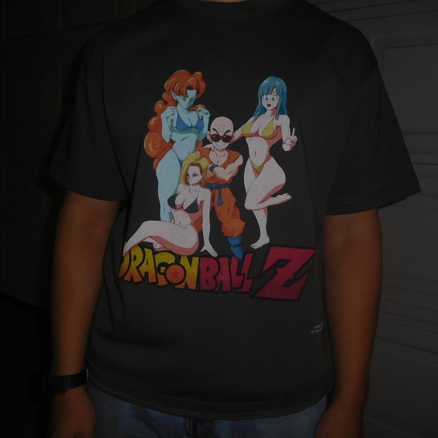 Krillin's Wish